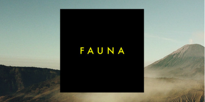 Zimmer – Fauna | September Tape img