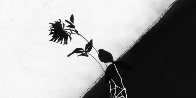 Julius Abel – Syndrome img