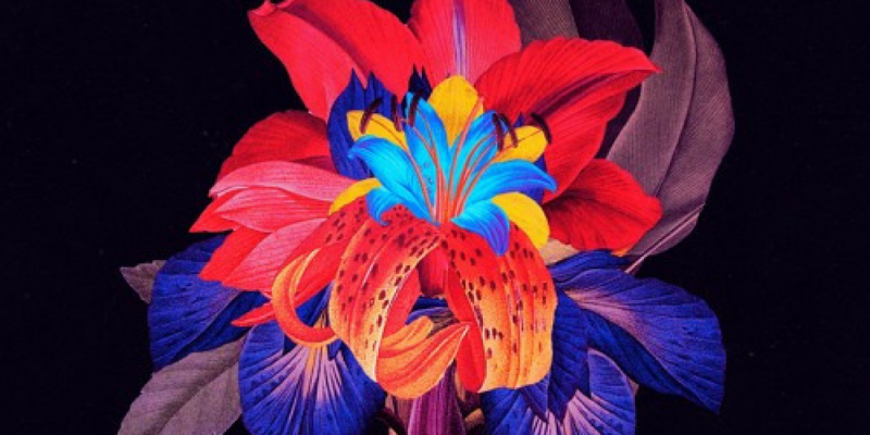 Maribou State feat. Holly Walker – Nervous Tics (Maceo Plex remix) img