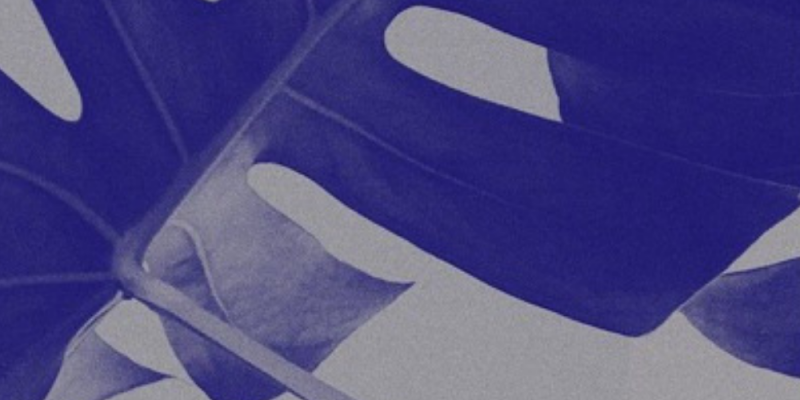 Handbook – Can’t Talk Now img