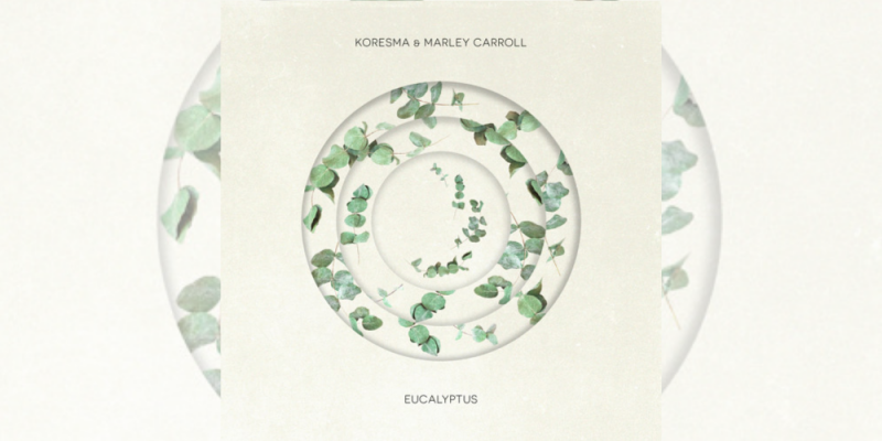Koresma x Marley Carroll – Eucalyptus – FREE DL img