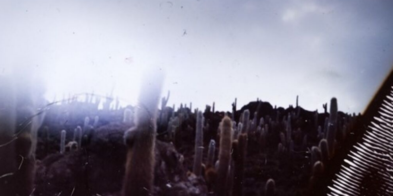 Fluqx – Vanishing Point img