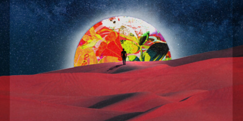 Maxi Million – Are U Lonely? img