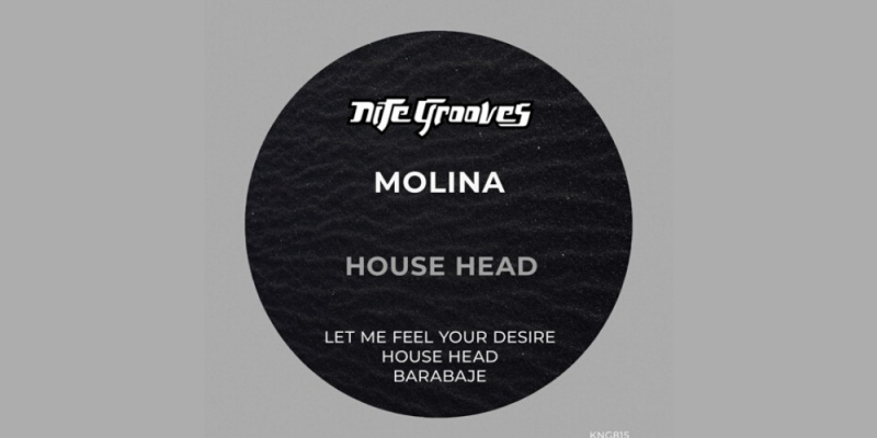Molina – Let Me Feel Your Desire img