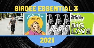 Birdee Selects – The 2021 Essential 3