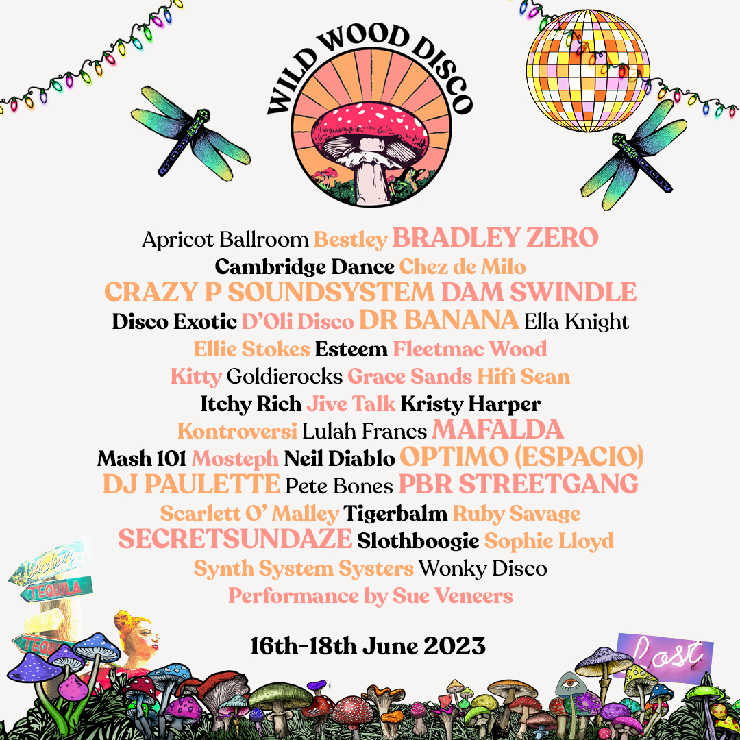 Wild Wood Disco Festival Flyer V2